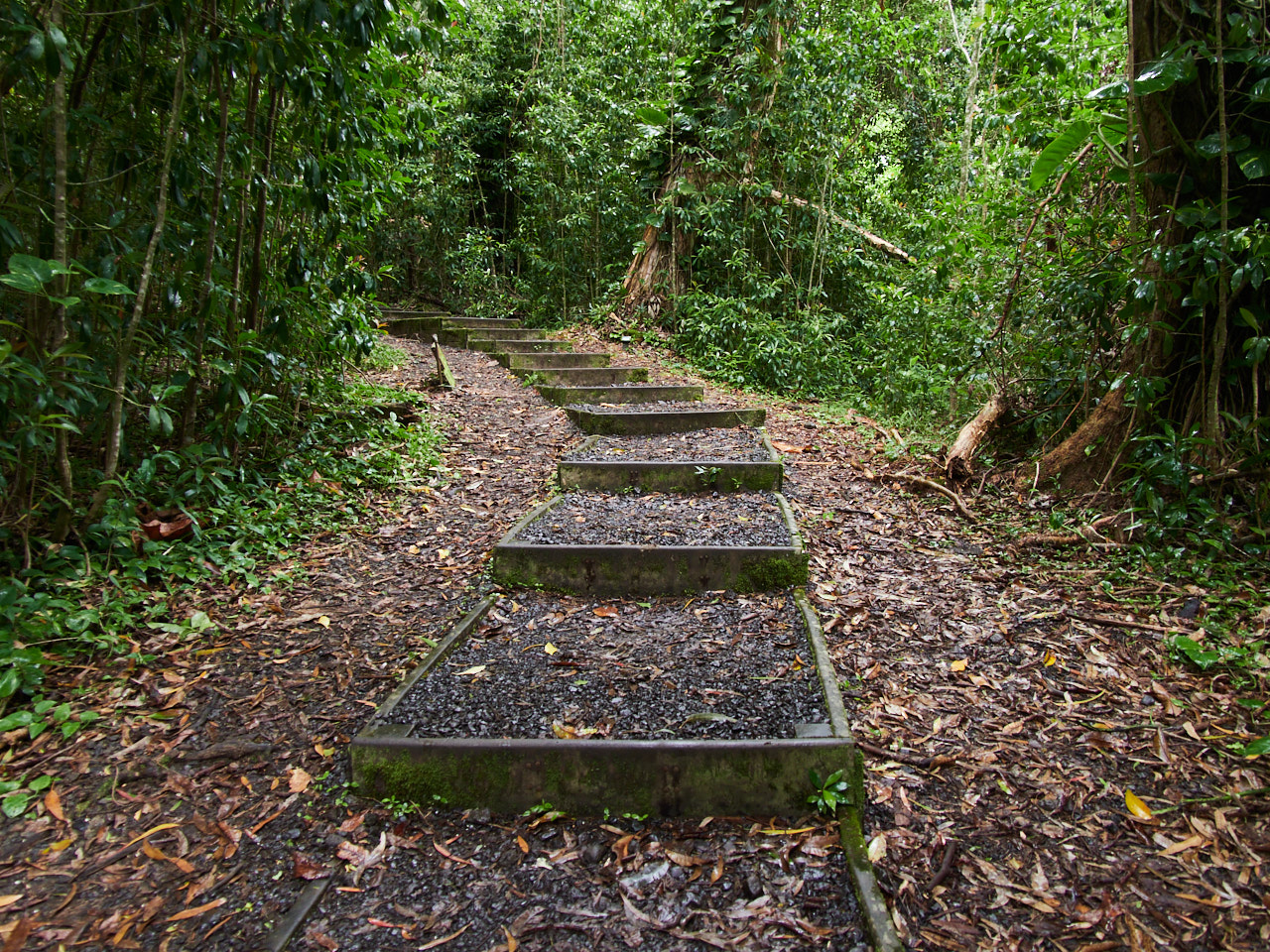 Considering the presence of some big steps, the trail is quite easy and accessible to those who can walk.