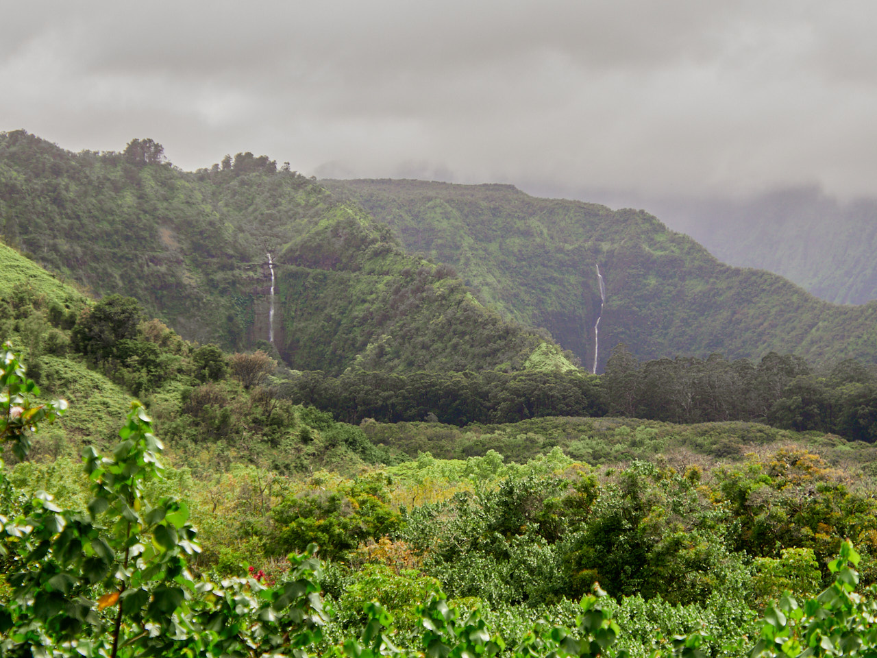 These dual waterfalls are the main attraction at the Wailua State Wayside.