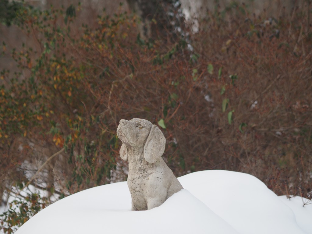 Dog statue after snowfall.