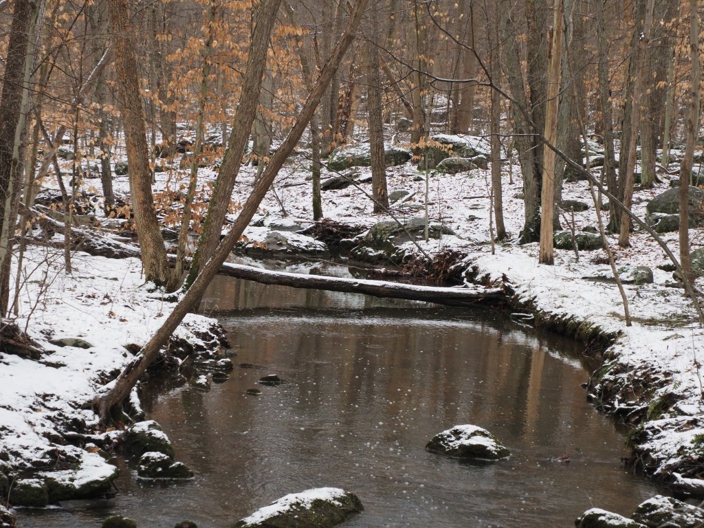 French Creek after snowfall -- more of this to come.