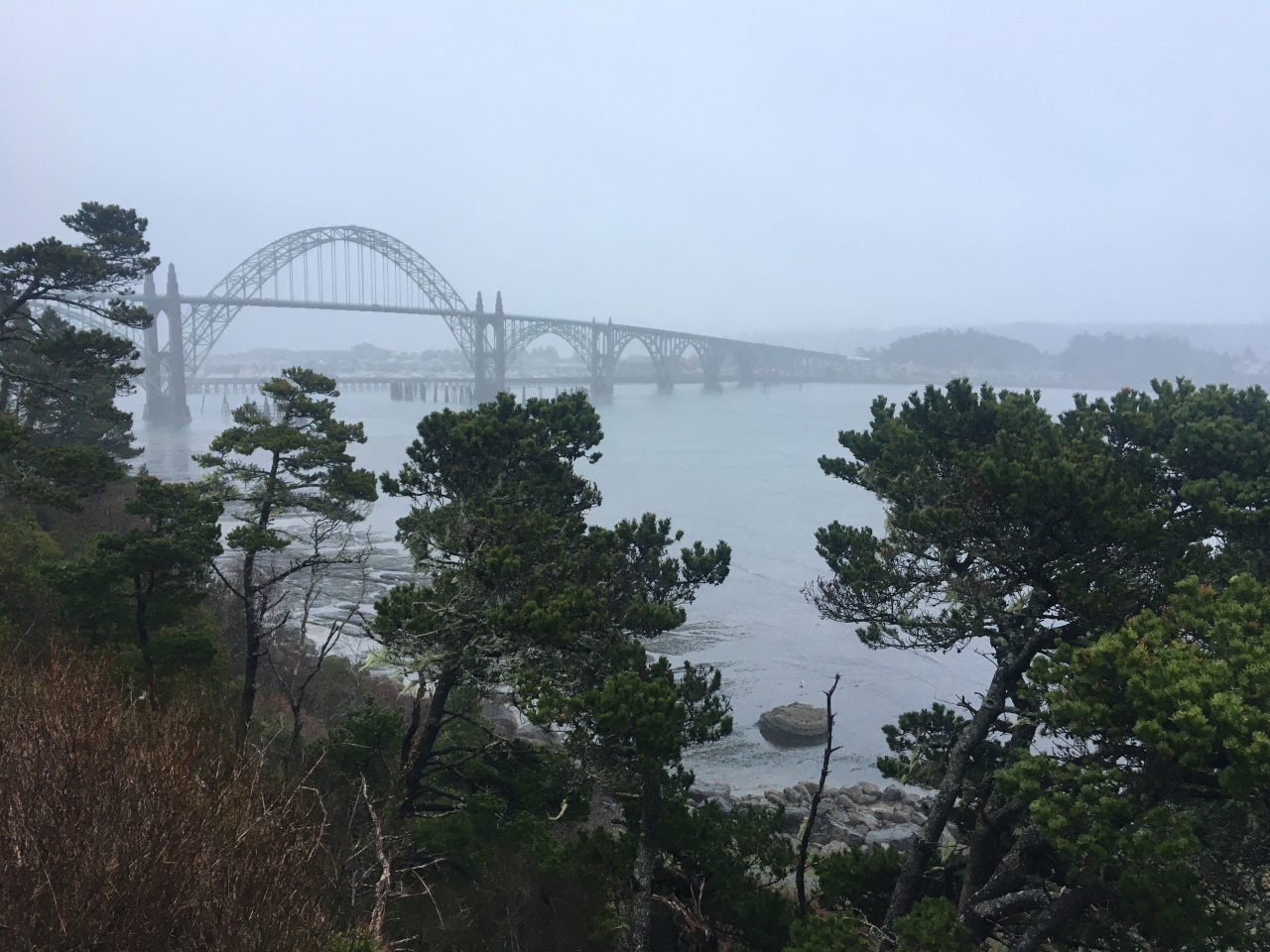 Looking across at the bridge from Yaquina Bay State Recreation Site
