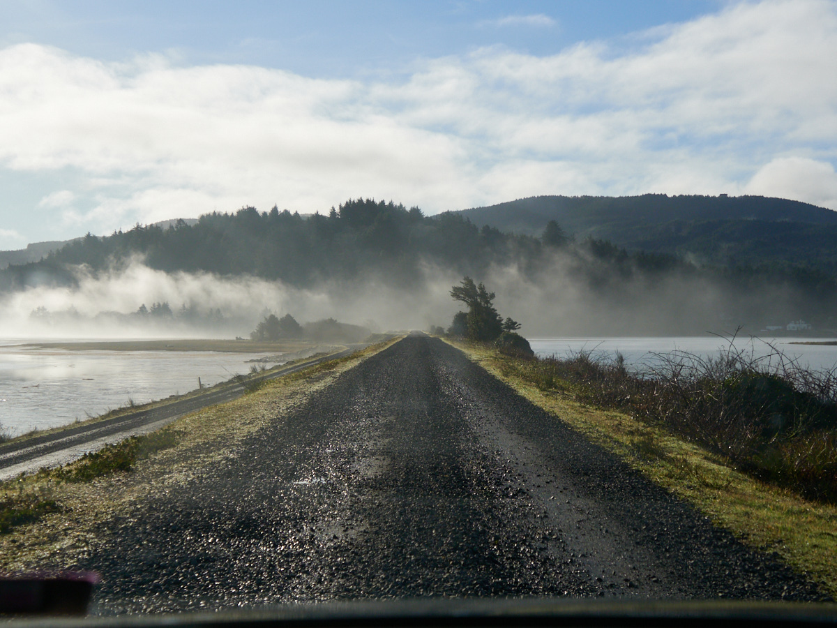 The fog on the road out of Bayocean Provincial Park was quite picturesque