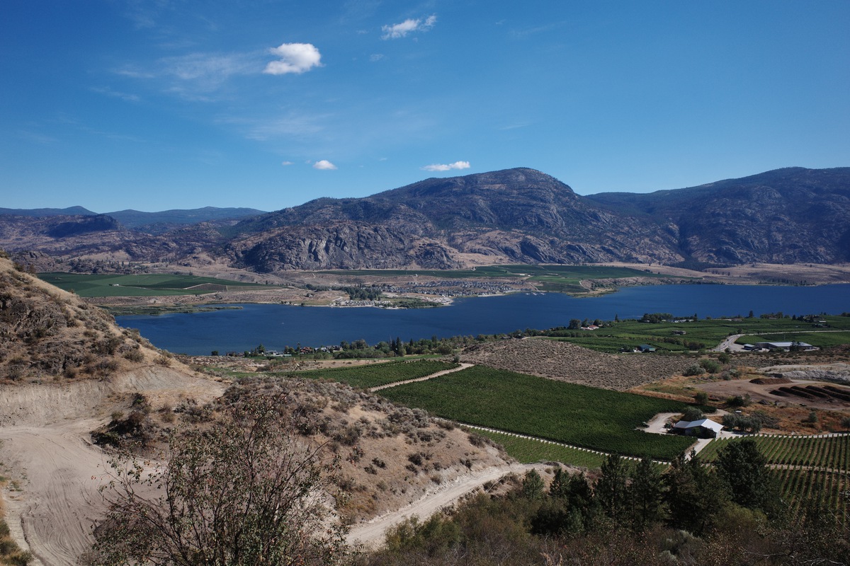 A view from an overlook of Lake Osoyoos and surrounding vineyards
