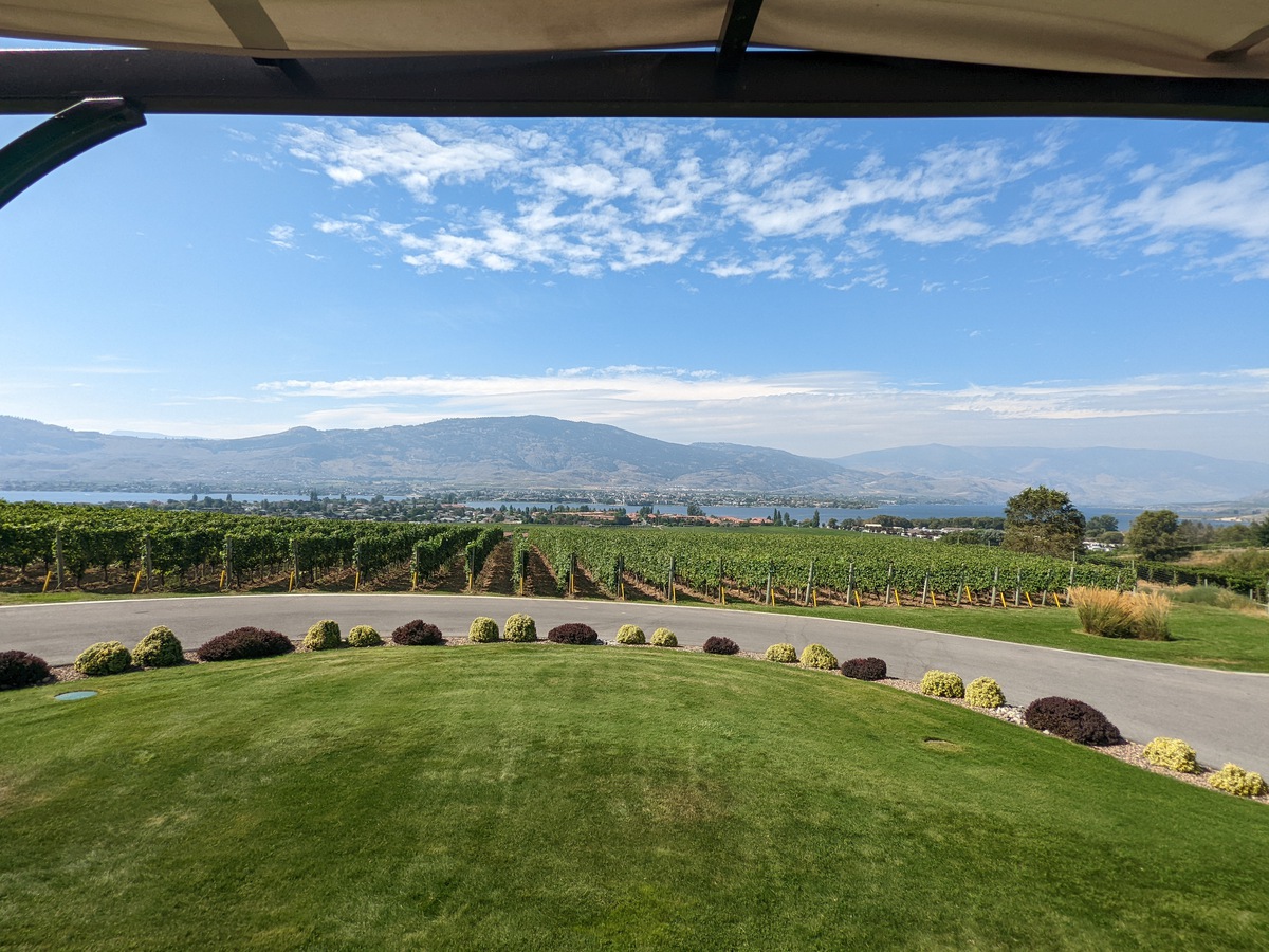 Moon Curser's tasting room is situated just above their vineyard, which is beautiful and well exposed to sunlight