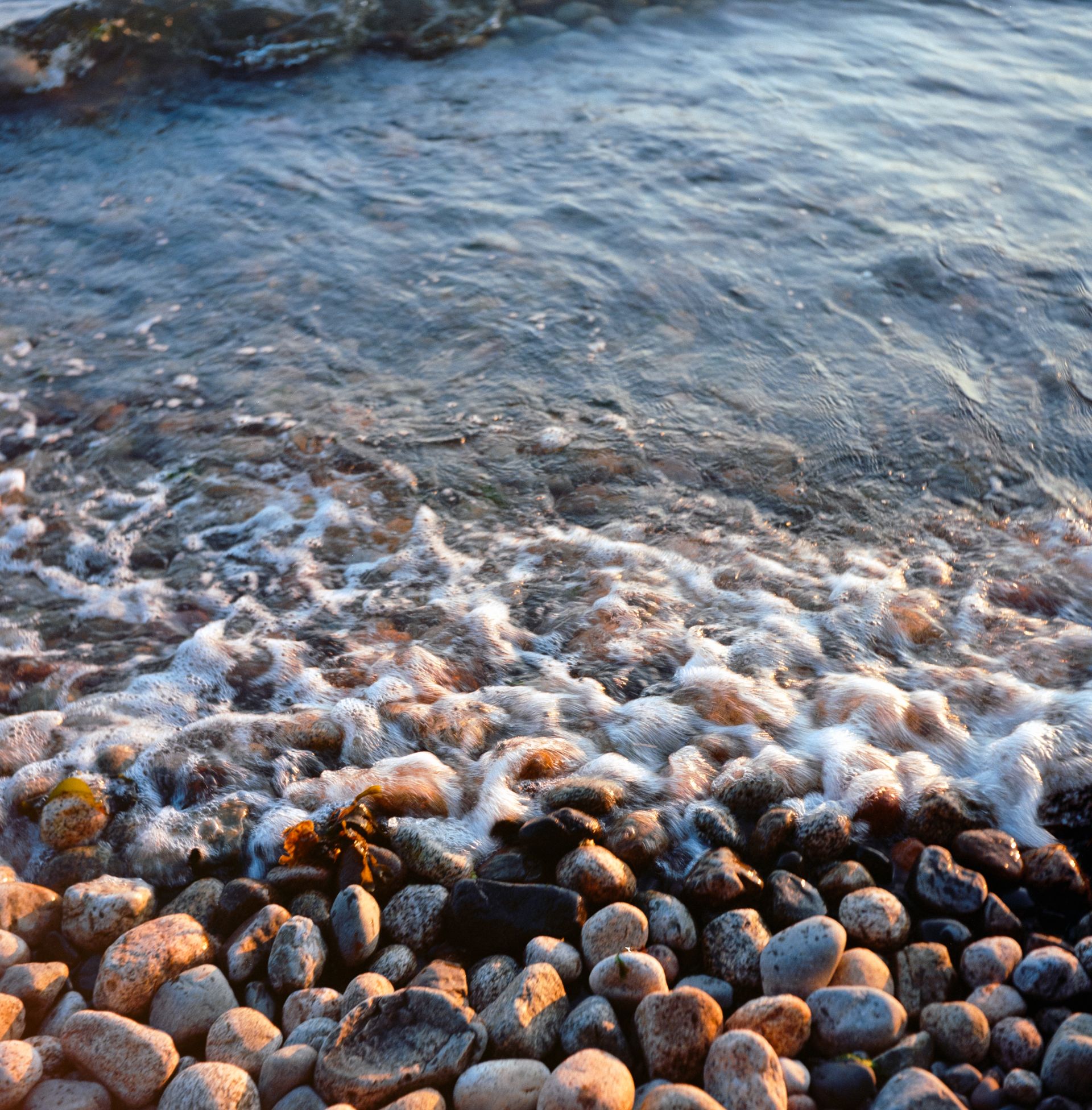 Pebbles in the surf, somewhere near Gibsons, B.C.