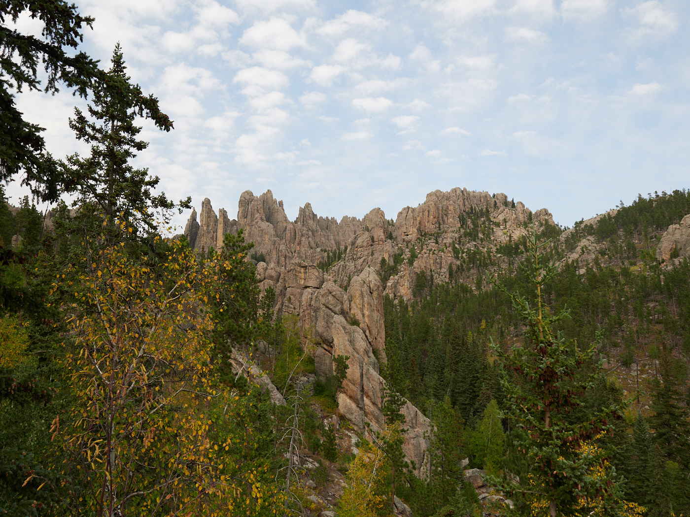 Custer State Park -- more of this follows.