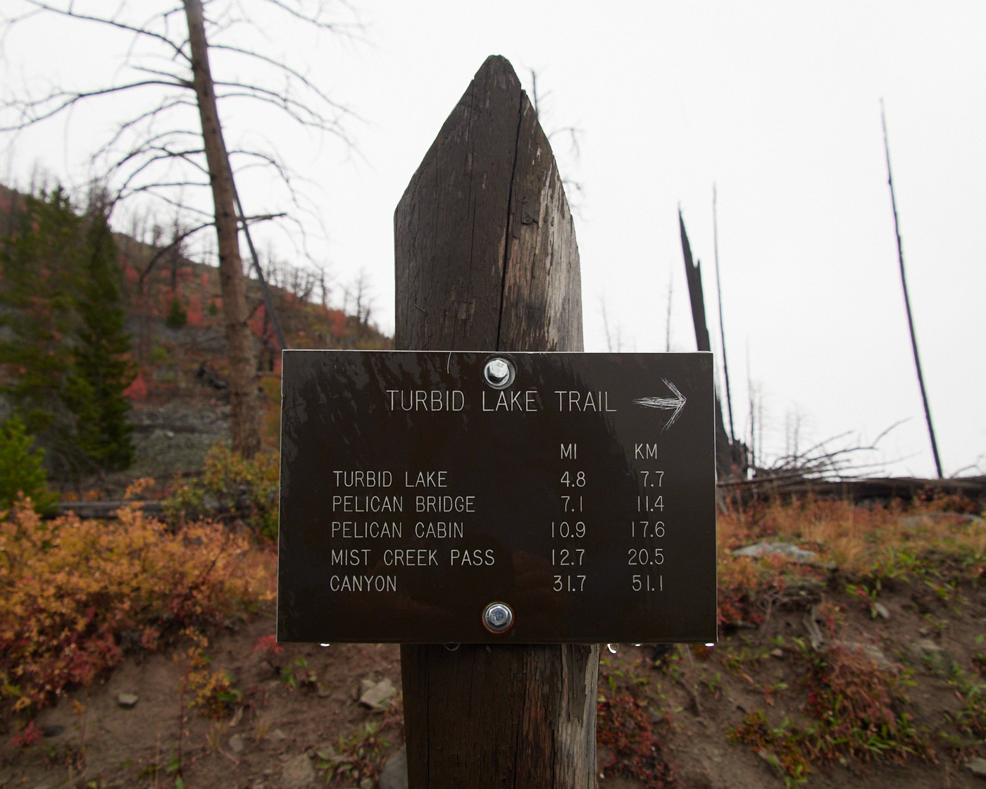 A signpost indicating nearby trails, including one I planned to hike...