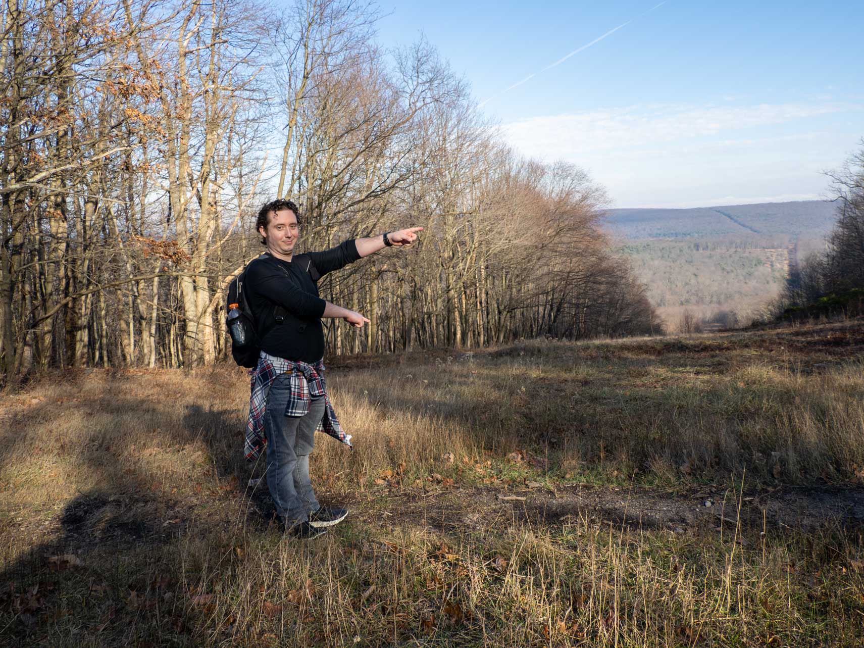Andrew points at a clearing formed when part of the forest was felled for power lines.