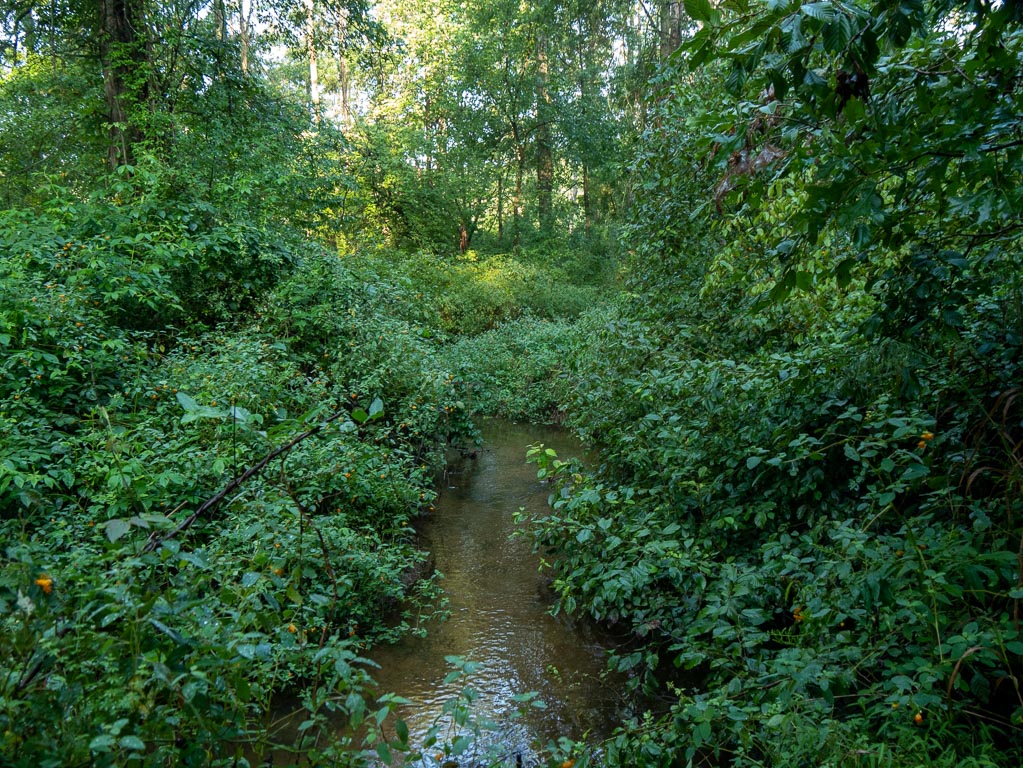 French Creek at the Preserve