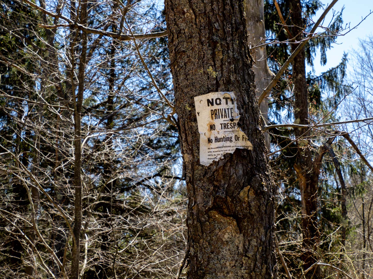 One of many NO TRESPASSING signs marking the boundaries of the Pinchot State Forest.