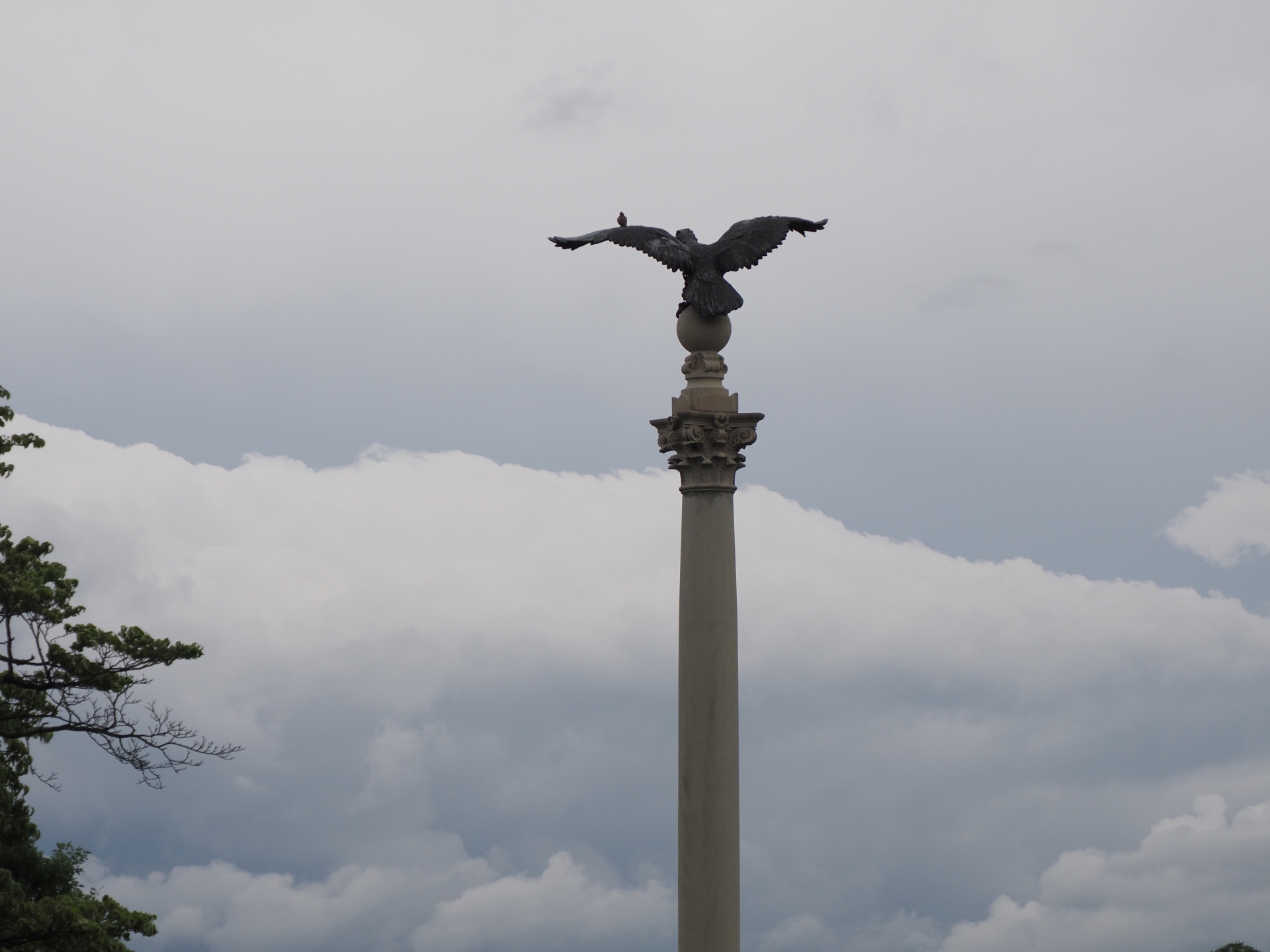 A bird atop one of the Pennsylvania Columns, June 2021