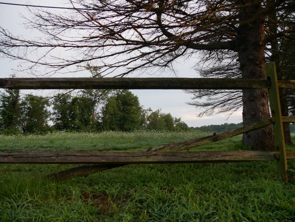 Fence and field