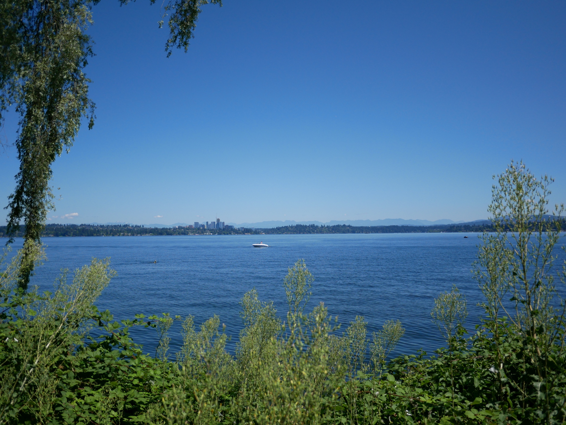 Look across the water, and you can see the skyline of Bellevue, a 'city' where I've been spending more time lately.