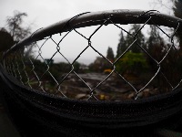 “Future McMansion Site” meets “Cliched Photograph of Fence With Contents Out of Focus”