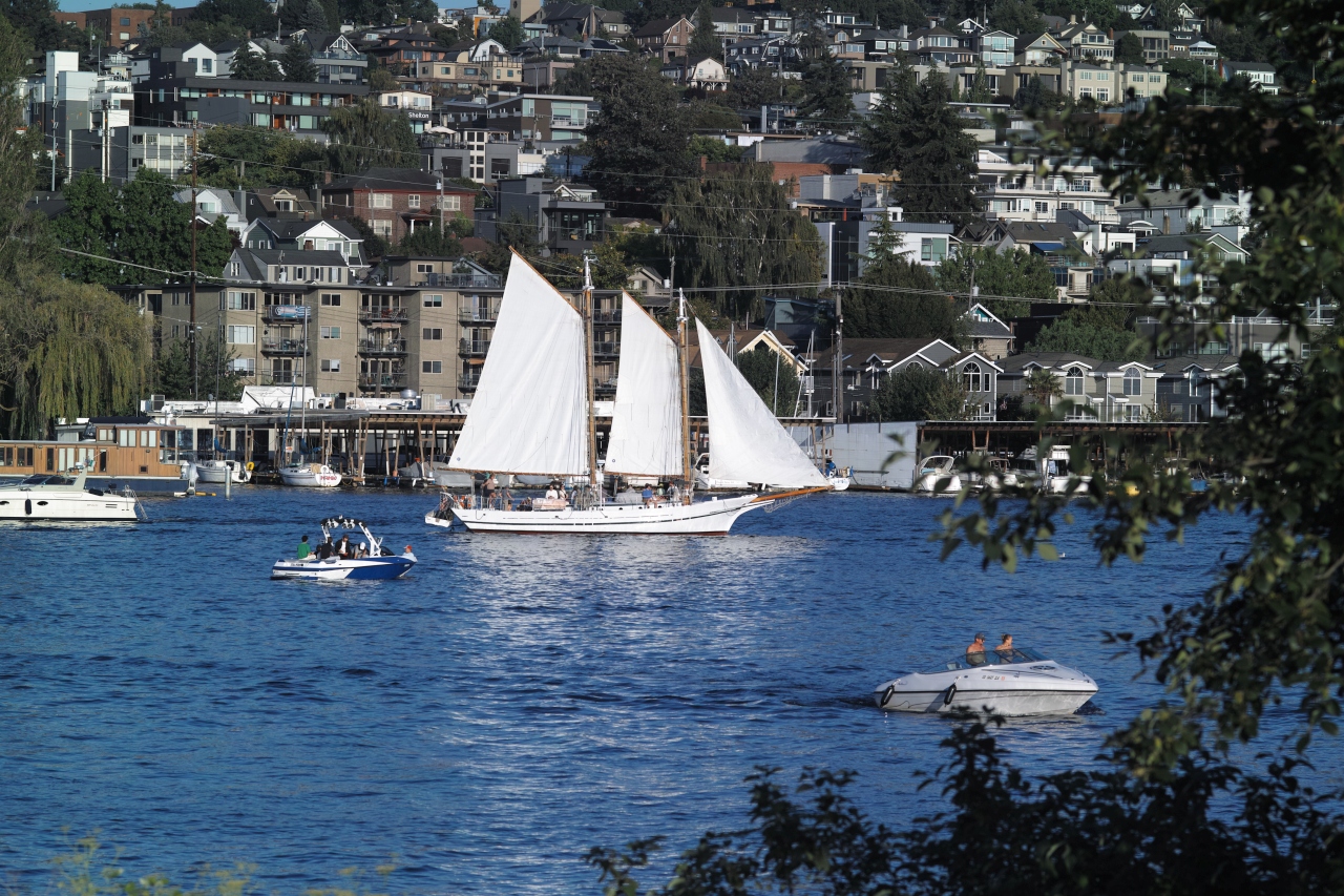 Sailboat on Lake Union, taken from Gas Works Park