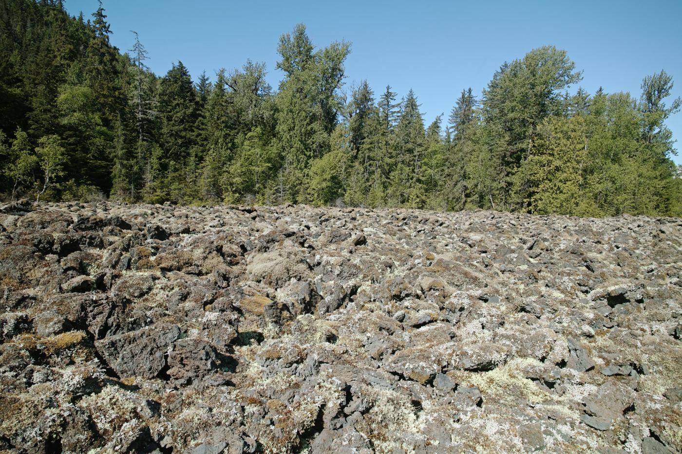An early view of the sacred lava fields